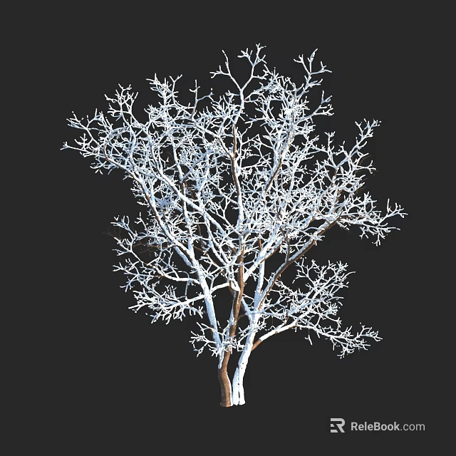Isolated Leafless Tree with White Frost Covered Branches Against Black Background 3d model 