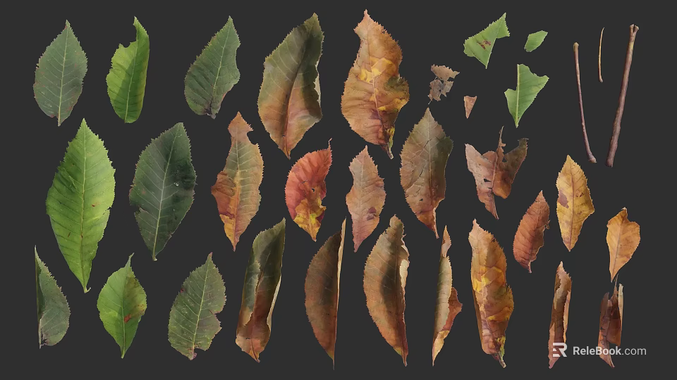 Diverse Colored Leaves In Green Yellow Brown Tones On Dark Background 3d model 