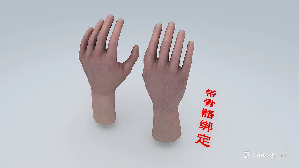 Detailed Human Hands 3D Model With Skeletal Rigging And Anatomical Features 3d model 