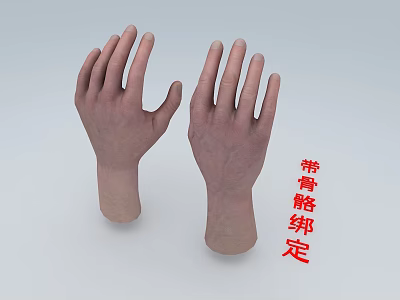 Detailed Human Hands 3D Model With Skeletal Rigging And Anatomical Features 3d model