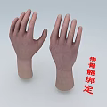 Detailed Human Hands 3D Model With Skeletal Rigging And Anatomical Features