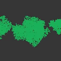 Different Sizes Of Arbor Trees With Lush Foliage And Natural Branch Shapes