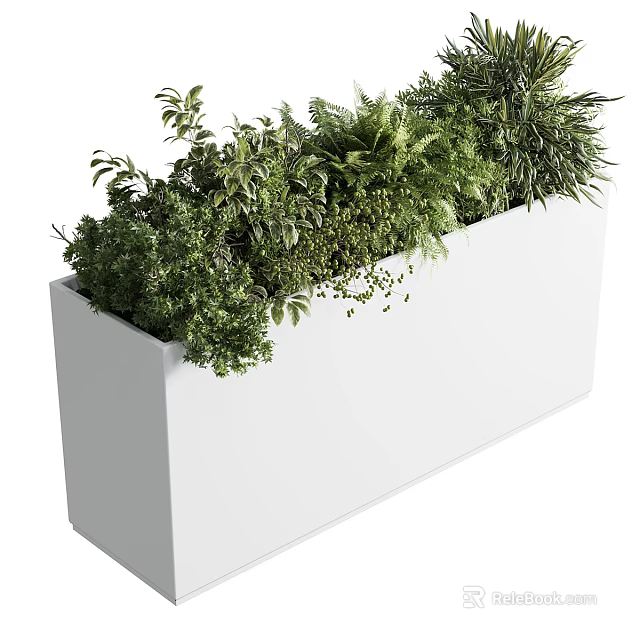 Various Green Potted Plants Arranged In White Rectangular Planter With Lush Foliage 3d model 
