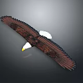 Bald Eagle Spreading Wings in Flight with Brown Feathers White Head 3d model
