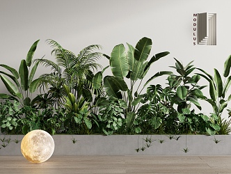 Green plant flower box plant combination plant potted plant pile flower pond flower bed moon lamp 3d model