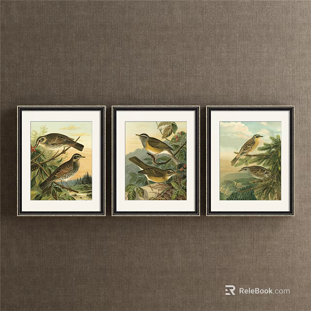 Three Black Framed Bird Paintings With Natural Scenery And Botanical Elements 3d model