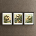 Three Black Framed Bird Paintings With Natural Scenery And Botanical Elements 3d model