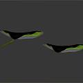 Two Vibrant Green Lotus Leaves Displayed Against Dark Background With Natural Texture