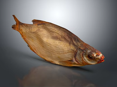 Dried Brown Fish Whole Preserved with Crispy Texture Isolated on Gray Background 3d model
