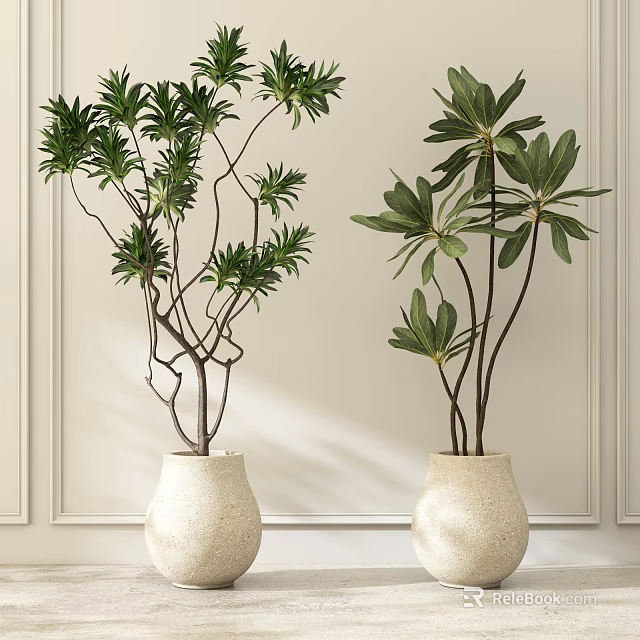 Lush Green Potted Plants in White Textured Vases for Indoor Decor 3d model 
