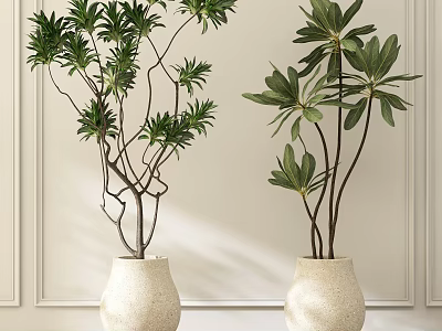 Lush Green Potted Plants in White Textured Vases for Indoor Decor 3d model