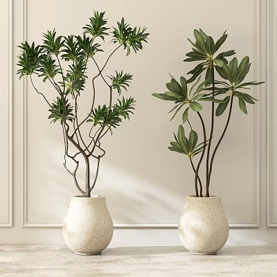 Lush Green Potted Plants in White Textured Vases for Indoor Decor 3d model