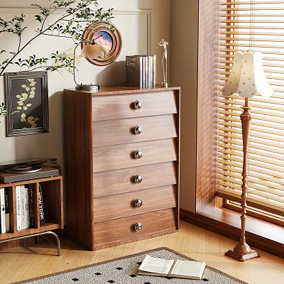 Wooden Storage Cabinet With Multiple Drawers Near Bookshelf Mirror And Floor Lamp 3d model