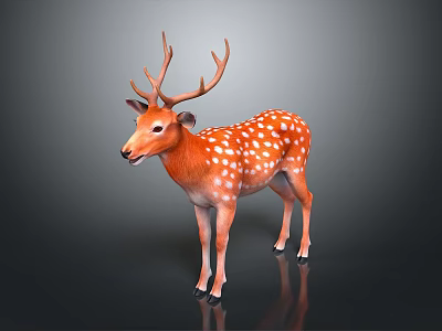 Spotted Deer With Orange Coat White Spots And Large Antlers Standing On Dark Background 3d model