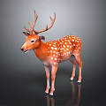 Spotted Deer With Orange Coat White Spots And Large Antlers Standing On Dark Background