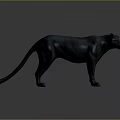 Black Panther 3D Model Standing in Gray Background with Realistic Features 3d model