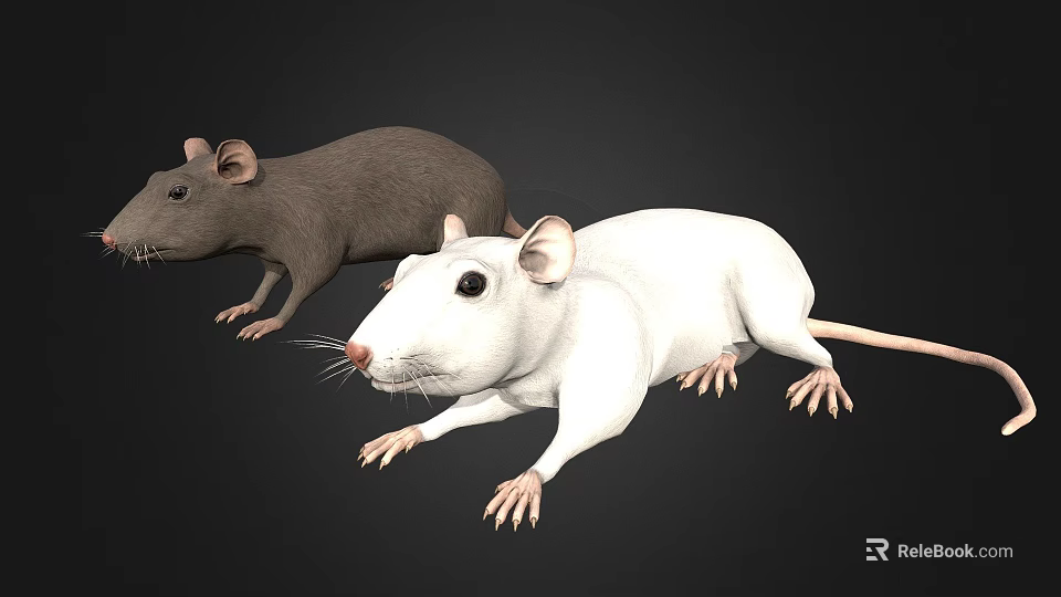 Detailed Realistic Gray And White Mice Figurines With Lifelike Features On Black Background 3d model 