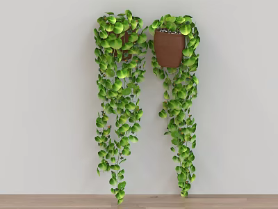 Hanging Potted Plants With Trailing Green Leaves For Indoor Wall Decoration 3d model