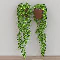 Hanging Potted Plants With Trailing Green Leaves For Indoor Wall Decoration