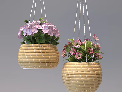 Hanging Potted Plants With Woven Pots And Purple Pink Flowers 3d model