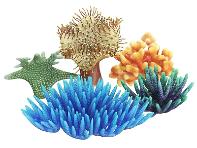 Colorful Aquatic Plants With Various Shapes And Vibrant Hues For Underwater Gardens 3d model
