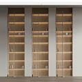 Tall Light Wood Bookshelves Featuring Multiple Compartments Metal Ladders and Books Against Light Wall