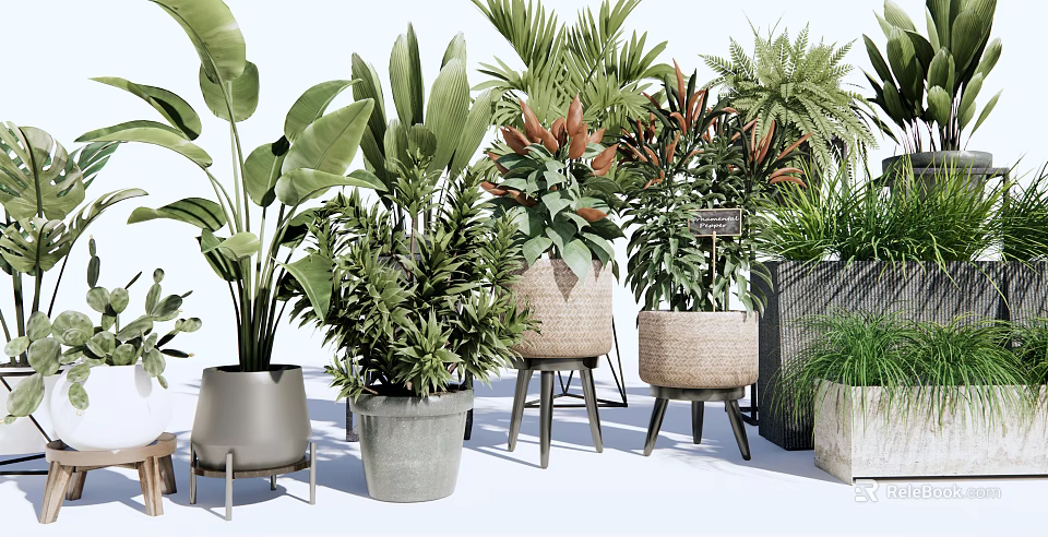 Potted Bonsai Plants With Various Leafy Green Varieties And Stylish Containers 3d model 