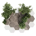Modern Hexagonal Tree Planters with Various Green Plants Wooden White Structures and Paving Design