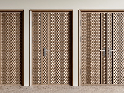 Modern entry door model