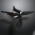 Black Butterfly With White And Red Spots Flying On Gray Background