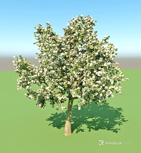 Lush Arbor Blooming with White Flowers Against Green Grass and Blue Sky 3d model 