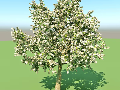 Lush Arbor Blooming with White Flowers Against Green Grass and Blue Sky 3d model