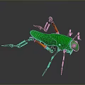 Mechanical Insect With Green Body And Orange Brown Metal Legs Red Eyes