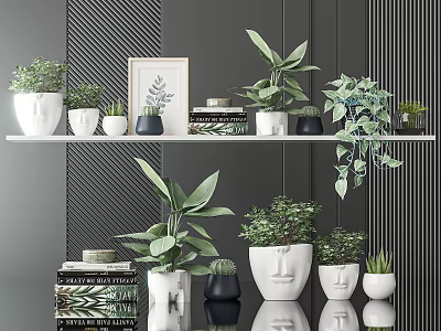 Potted Bonsai Plants Display on Shelves with Decorative Pots Books and Picture Frame 3d model