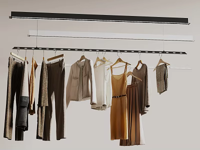 Horizontal Clothes Rack with Different Types of Hanging Pants Shirts and Dresses 3d model