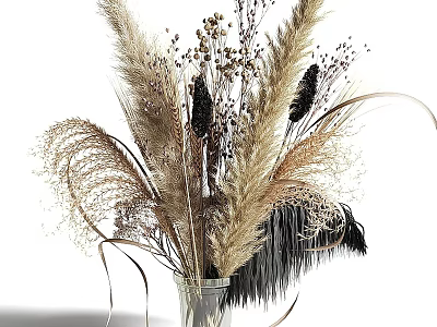 Elegant Glass Vase With Pampas Grass Dried Flowers And Feathers In Neutral Tones 3d model