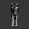 Blue Gray White Wolf With Red Lines On Legs 3D Model On Black Background Reflection