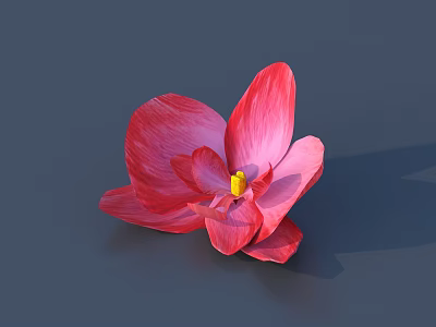 Elegant Decorative Pink Flower Garden Ornament with Large Petals and Yellow Center 3d model