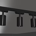 Black Track Mounted Downlights Spotlights Modern Design for Interior Lighting 3d model