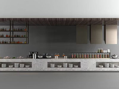Modern Open Kitchen Display Cabinets and Shelves With Spice Jars and Tableware Storage 3d model