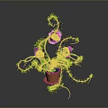 Green Vine Plant With Purple Flowers In Brown Pot And Trailing Leaves