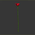 Single Red Rose Plant With Long Green Stem Set Against Plain Gray Background 3d model