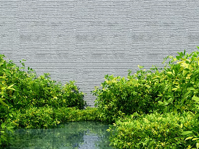 Lush Green Bushes And Plants In Front Of Gray Brick Wall With Water Pool 3d model