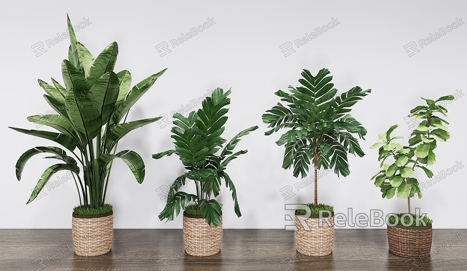 Modern potted rattan weaving green plant potted combination model