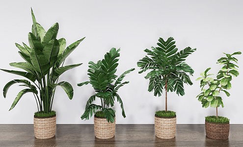 Modern potted rattan weaving green plant potted combination 3d model