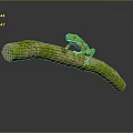 Frog Poison Frog Game Frog Reptile Cold Blooded Animal Reptile 3d model
