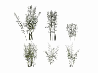 Different Types of Bamboo Plants with Various Heights and Leafy Foliage 3d model