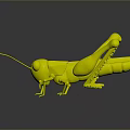 3D Grasshopper Character Model With Low Poly Design And Detailed Legs Antenna 3d model