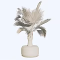 Decorative Potted Bonsai Palm Plant with Broad Green Leaves in Dark Ceramic Pot