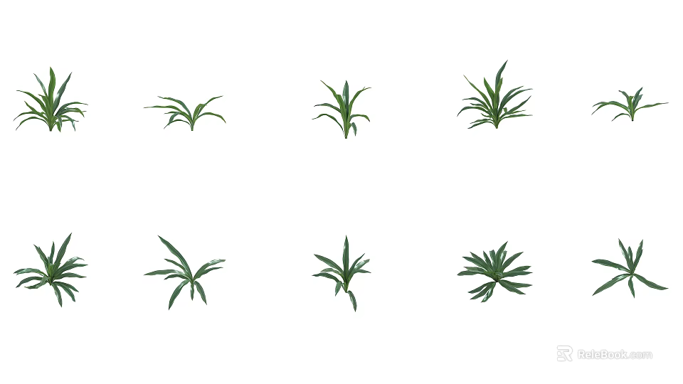 Various Green Leafy Plants For Home Indoor Decorative 3d model